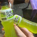 이조본가족발 | [8월] 풍덩풍덩돌을던지자