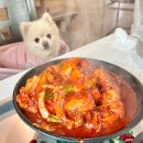 산방산의봄 | 제주도 애견동반 식당 산방산 삼거리농원 예약 후기