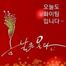 홍어1번지 이미지