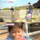 태오농장 이미지