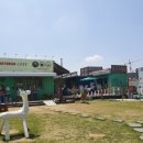 카페15도 이미지