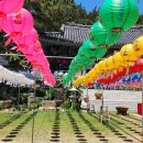 27. Meaning of Lotus Lantern Festival 이미지