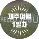 칠십리호텔 | [제주여행] 1일차 (조아렌트카/우진해장국/모찌마루/유채꽃프라자/올레시장/히든클리프호텔/숙성도중문점)