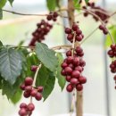 하늘뜰 농장 이미지