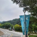 강촌이모네 | [주간일기 10주차] 8월 <엘리시안 강촌>으로 2박3일 여름 휴가 여행🚅 | 김유정역레일바이크, 비어가든