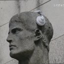 동산보청기 이미지