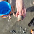 방아머리로 이미지