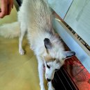 마리앤쥬 이미지