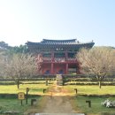 서원대구사무소 네이버블로그