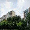 금나라공인중개사사무소 이미지