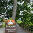 치명자산대여소 이미지