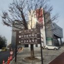 오산시립미술관 | 오산시립미술관 아트클래스 청바지 입은 시계 만들기 후기