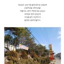 사파리모텔 이미지