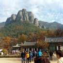 신성공원 이미지