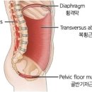 에스디코어