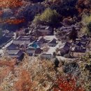 순천-65호 Daum카페