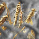 플레이스퀘어 이미지