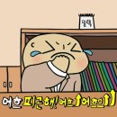 롤롤 - 서귀포시 태평로 423 | 롤롤