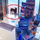 도도약국 이미지