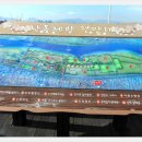 낙동제방 이미지