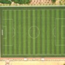 봉화복합스포츠단지 정구장 이미지