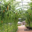 이천농업테마공원 이미지