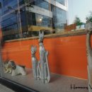 하모니동물병원 이미지