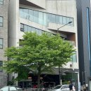 다이소강남세곡점 | [내돈내산] 세곡 은곡빵집 후기 (2회 이상 방문)