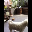 석진이네 이미지