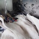 띠띠세탁 이미지