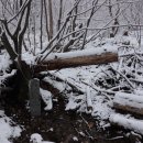 구사리마을회관 이미지