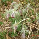 삼죽면사무소 이미지