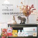 컨셉플레인 이미지