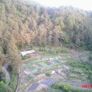 안적동농장 이미지