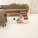 (주)반려동물털로덮인친구들 이미지