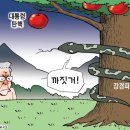 11월23일 이미지