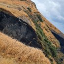 우도해안도로 이미지