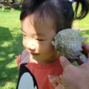 좋은이웃펜션 이미지