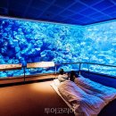 대륙고속관광(주) 이미지