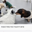새해맞이 여캡모음 이미지