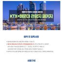 아나고랑 돼지랑 | 부산 2박3일 : Day 1 먹기만 하는 부산여행(ktx할인 꿀팁,광안리 에어비앤비 추천,해진아나고 예약 후기)