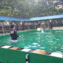 느티나무골펜션 이미지