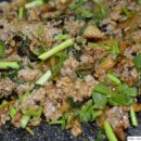 후계자주말농장 이미지