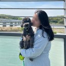 GS25 간석영풍점 | 고도비만 다이어트 계속 진행중, 자신감 되찾아가는 일상