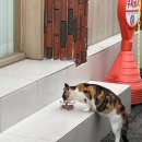 금오산로1L-1 이미지