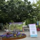보라매 5호(중앙매점) | 보라매공원 서울국제정원박람회 메타몽가든 위치 후기