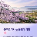 오정자웰빙추어탕 - 충주시 구룡로 162 | 충주 탄금대 봄꽃 축제