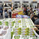 농수산물도매시장 과일동_1 이미지