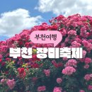 도당어울마당 | 부천 장미축제 2024 도당공원 주차 팁