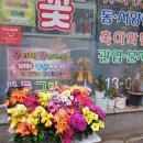 사동그린꽃 이미지